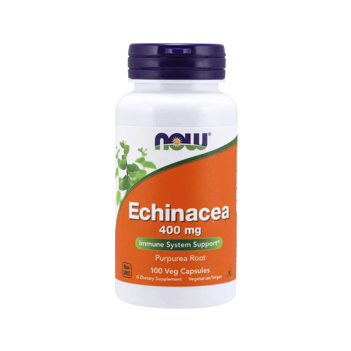 إكيناسيا Echinacea Now 400 مجم — 100 كبسولة