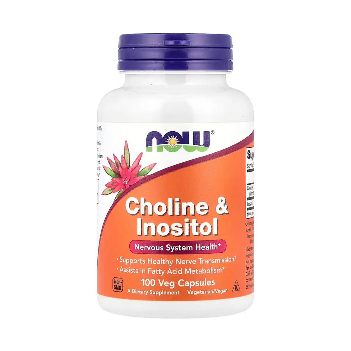 كولين وإينوزيتول Now Choline and Inositol — 100 كبسولة