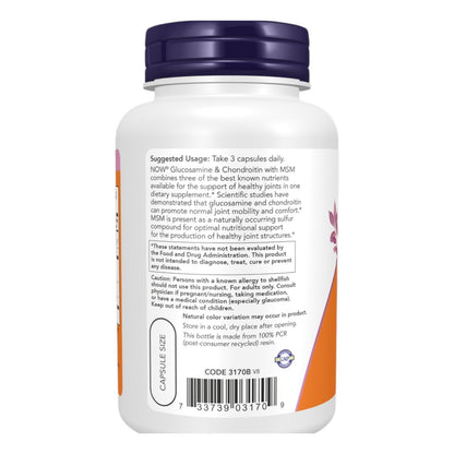 جلوكوزامين وكوندرويتين مع MSM NOW Glucosamine & Chondroitin with MSM — 90 كبسولة