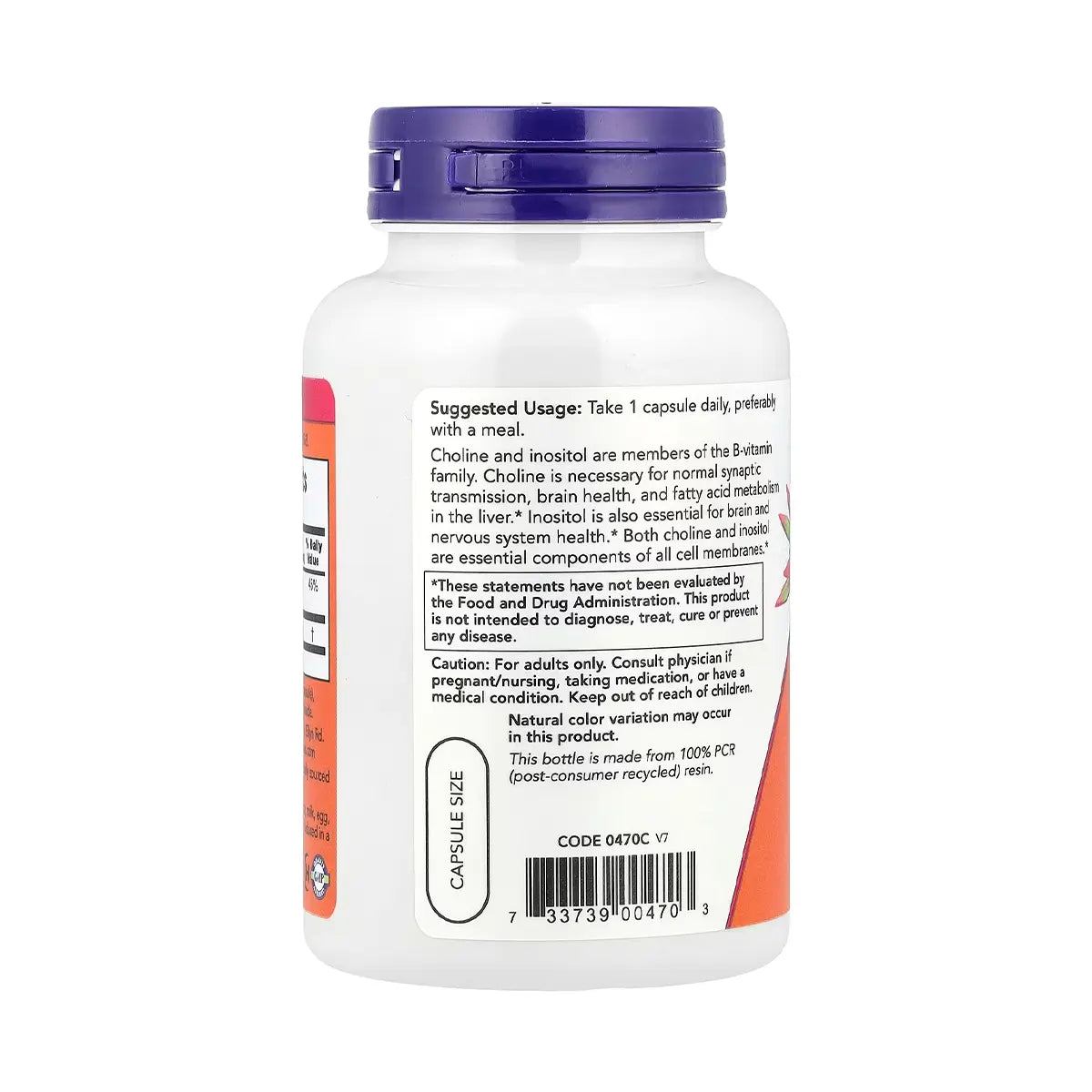 كولين وإينوزيتول Now Choline and Inositol — 100 كبسولة