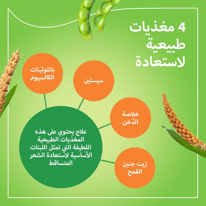 برايورين إن للشعر Bayer Priorin N — 90 كبسولة